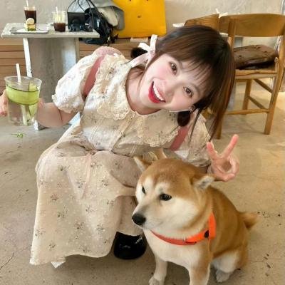 查理和嘟嘟
